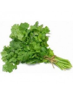 Martorri (sorta) u 2