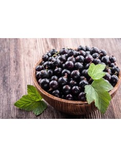 Cassis (125g). 2