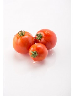 Tomate ronde (1Kg) U 2
