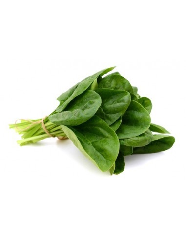 Epinard (+/- 330g) U Epinard (+/- 330g) U