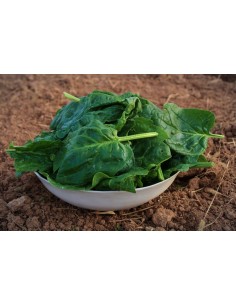 Epinard (+/- 330g) U