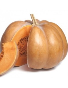 Courge Musquee de Provence...