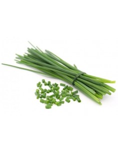 Botte de Ciboulette U 2