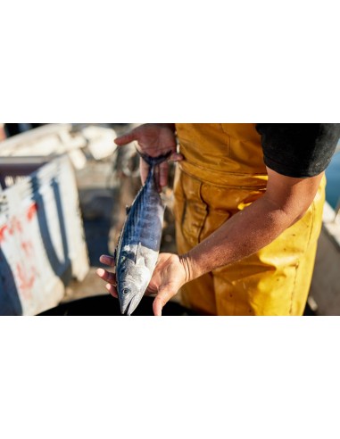 "Panier surprise" de Poisson frais.