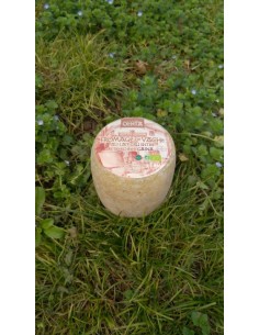 Tommette jeune de vache...