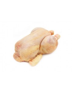 Poule fermiere moyenne Bio...