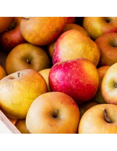 Pomme Dalinette (1Kg) IPARLAB