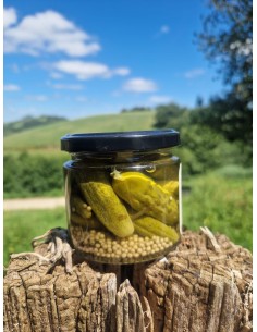 Cornichons fins Estragon... 2