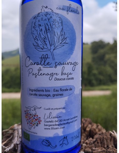 Eau florale Carotte sauvage (200 ml) Eau florale Carotte sauvage (200 ml)