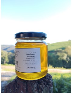 Miel de printemps (250g) 2