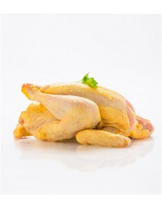 Petit poulet fermier Bio... 2
