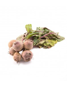 Botte de Betterave M 2