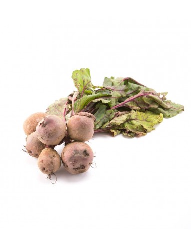 Botte de Betterave M Botte de Betterave M