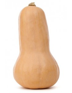 Butternut (1Kg) M 2