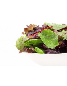 Entsalada nahasketa (220g) M 2