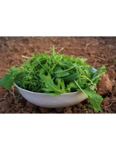 Entsalada nahasketa (220g) M