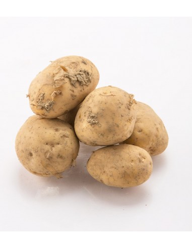 Pomme de terre de l'annee (3Kg) M