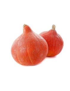 Kuia ttipi laranja M 2