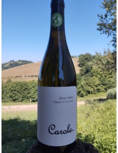 Domaine Ventenac - Blanc -...