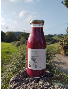 Gazpacho erremolatxa (500g)