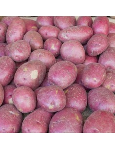 Pomme de terre Désirée (1Kg) M