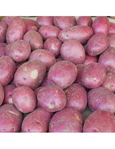 Pomme de terre Désirée (1Kg) M