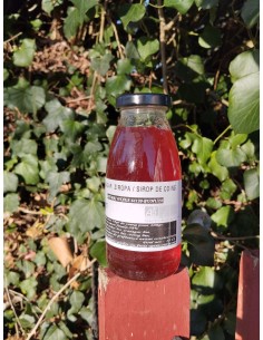 Irasagar ziropa (250ml)