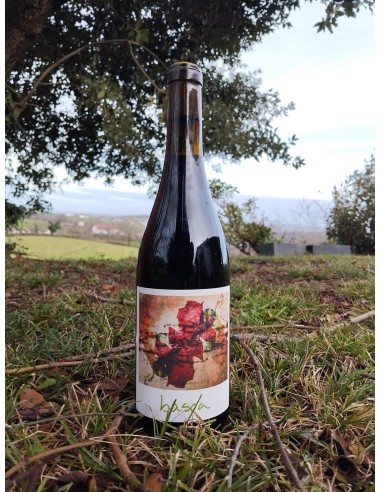 Vin rouge Basoa