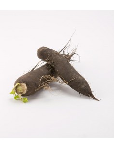 Radis noir (1kg) IPARLAB