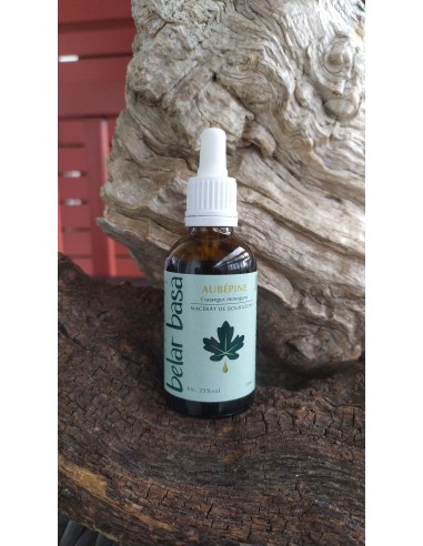 Elorri xuri kimu mazerazia