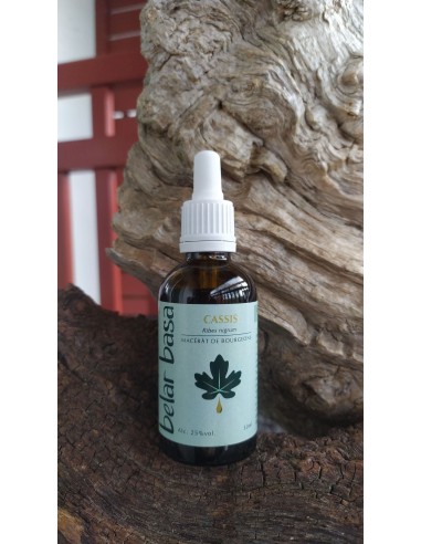 Macérât de bourgeon de cassis