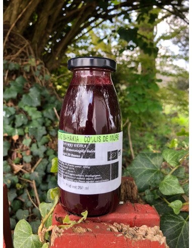 Coulis de mûre (250g)