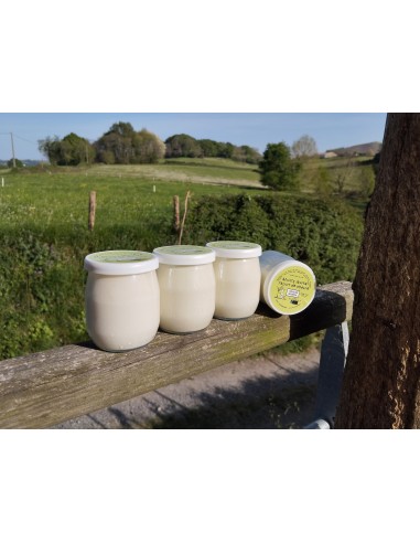 Ahuntz esnezko jogurta berbenarekin...