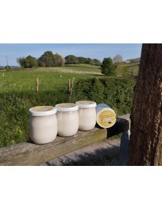 Yaourt de chèvre à la noix...