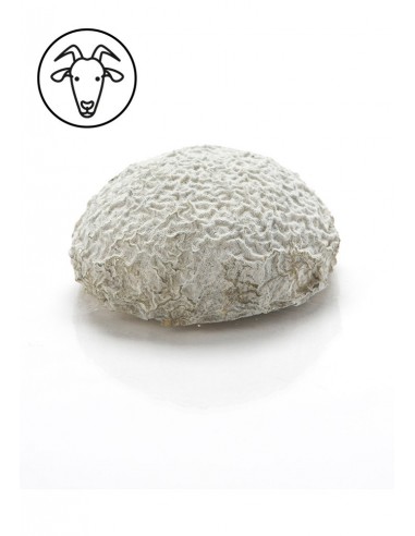 Garralda - chevre-dome.