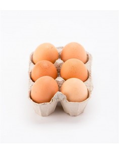 Oeufs fermiers (x6) T 2