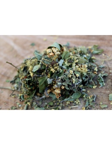 Lasaigarri tisana (25 g)