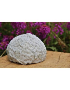 Garralda - chevre-dome.