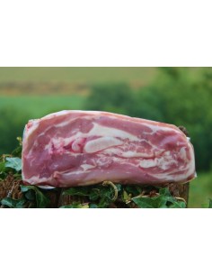 Aratxe saiheskia (+/- 225...