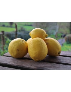 Citrons (1Kg)