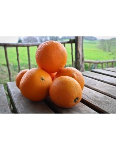 Oranges (1Kg)