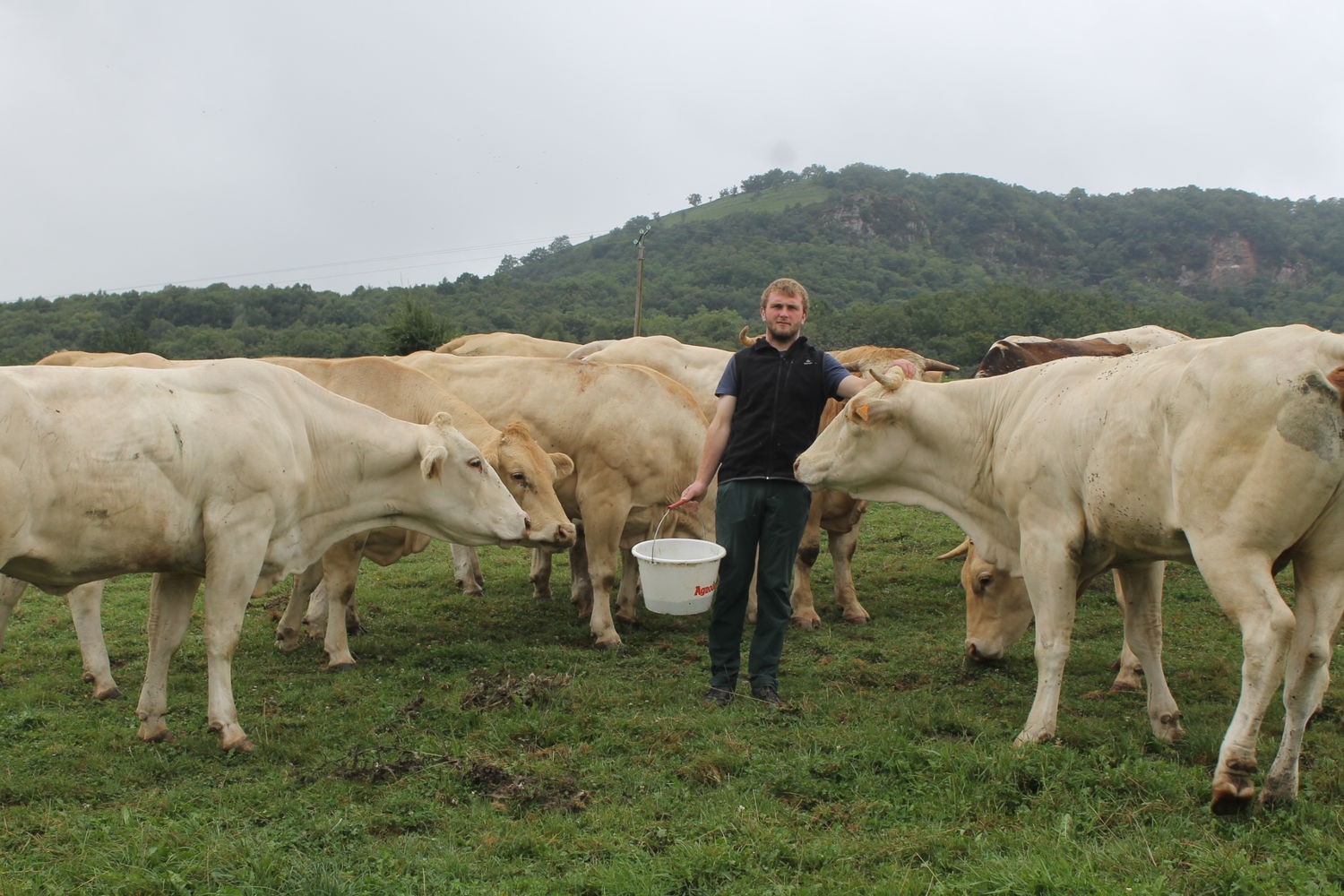 FERME BEGOTENIA